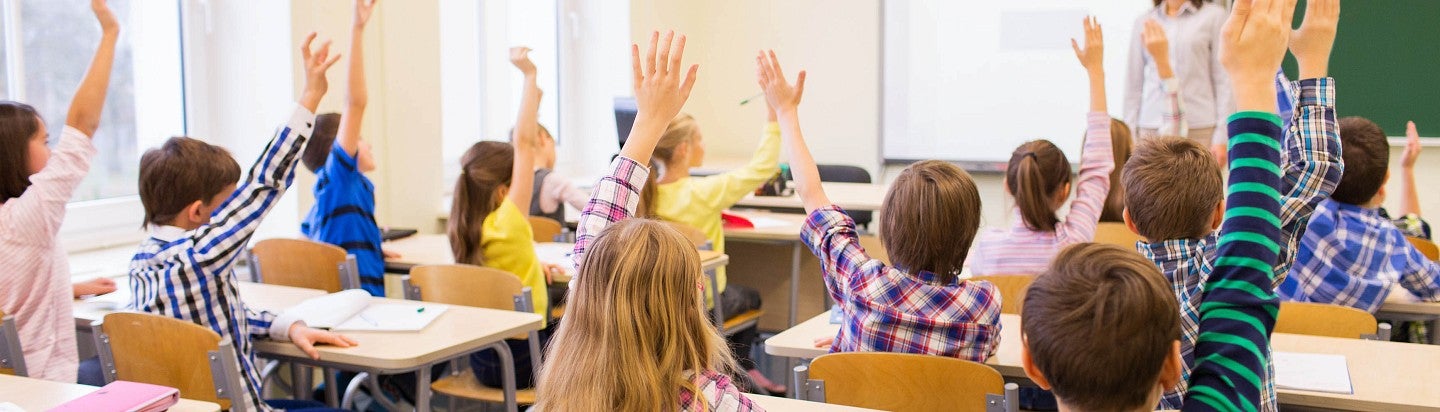 Students raising hands in class