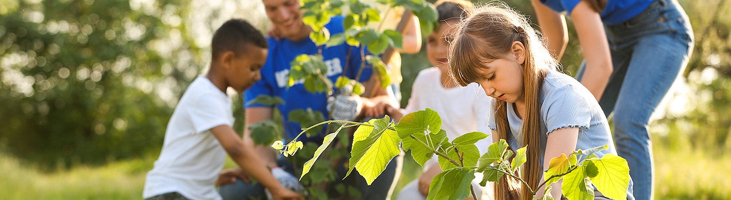 children working on planting a tree